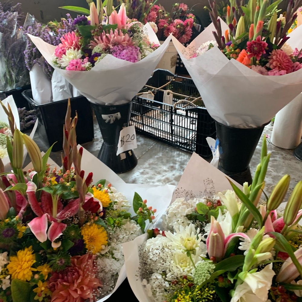 Meet your Posher, Laura